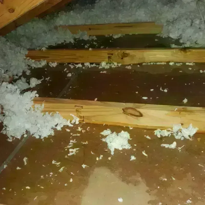 Attic Water Damage in Fort Pierce, FL